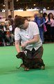 Crufts2010 791